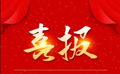 新年新喜报，利国国际老牌w66医药下属山东利国国际老牌w66药业喜获三项荣誉